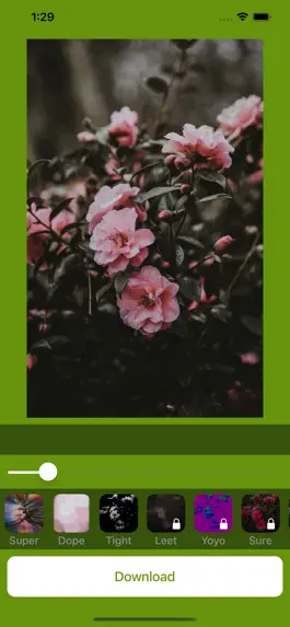Game screenshot Perfect Wallpapers Flowers HD hack
