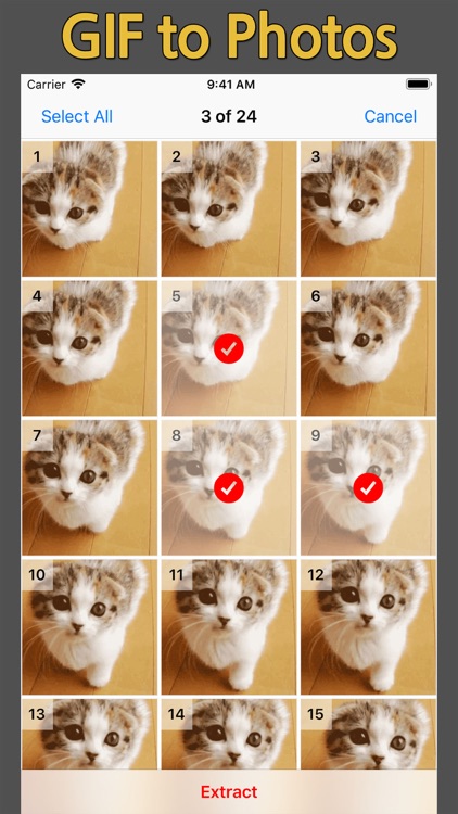 GIF Cracker - GIF to Video