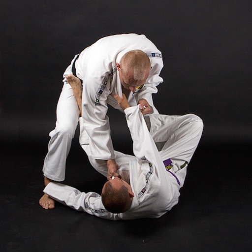 Guide Brazilian Jiu-Jitsu BJJ icon