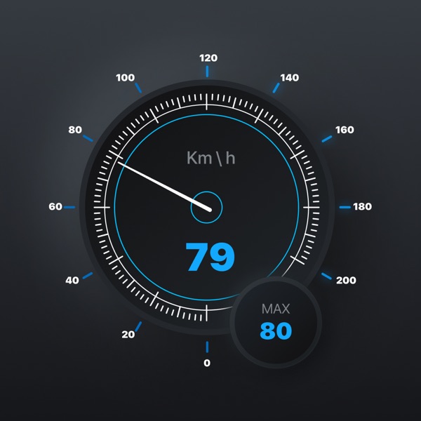 GPS Speedometer & Mile Tracker iPhone Wired