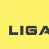 LIGAUFA problems & troubleshooting and solutions
