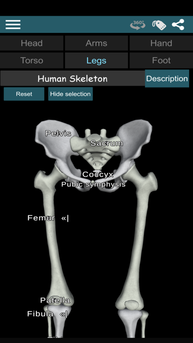 Bones 3D (Anatomy) Screenshot