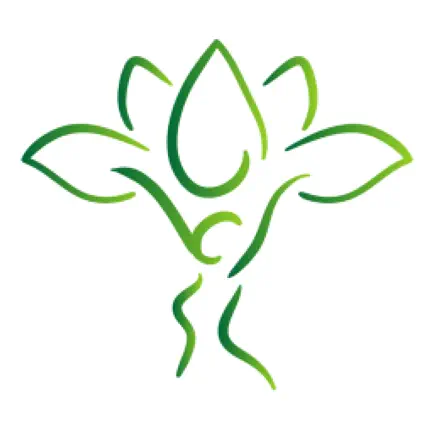 Holistically Healthy You Читы