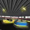 Bumper Car Mania App Delete