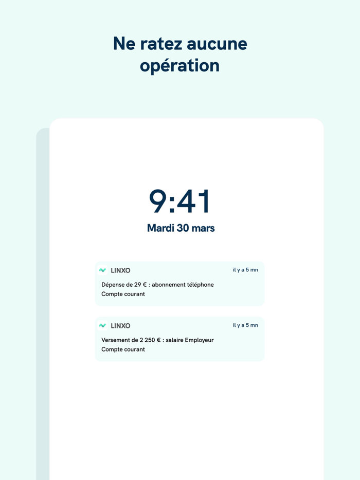 Linxo - Lapp n1 de budget