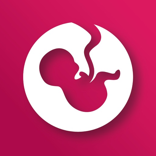 iPink Kickcounter icon