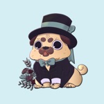 Download Puppies Cute Pug Stickers app