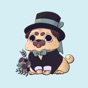 Puppies Cute Pug Stickers app download