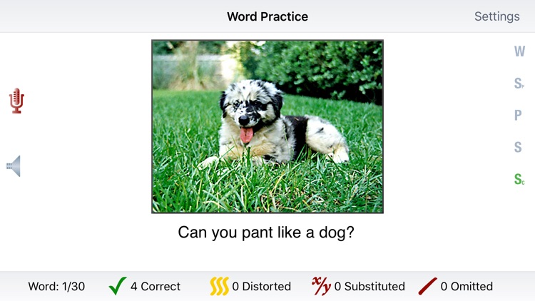 Look! Listen! Learn Language!