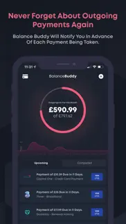 balancebuddy: money management iphone screenshot 1