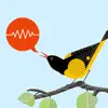 ChirpOMatic - BirdSong USA App Negative Reviews