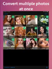 photo type converter ipad images 2