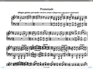 mussorgsky pictures exhibition ipad resimleri 3