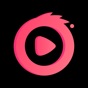 Muzishot - Pro Video Editing app download