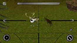 deer hunter wild hunting clash problems & solutions and troubleshooting guide - 4