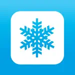 Ski Dice App Positive Reviews