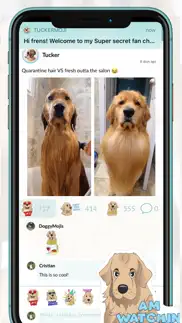 tuckermoji - tucker budzyn dog problems & solutions and troubleshooting guide - 2