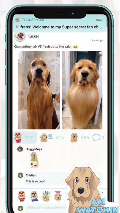TuckerMoji - Tucker Budzyn Dog Screenshot