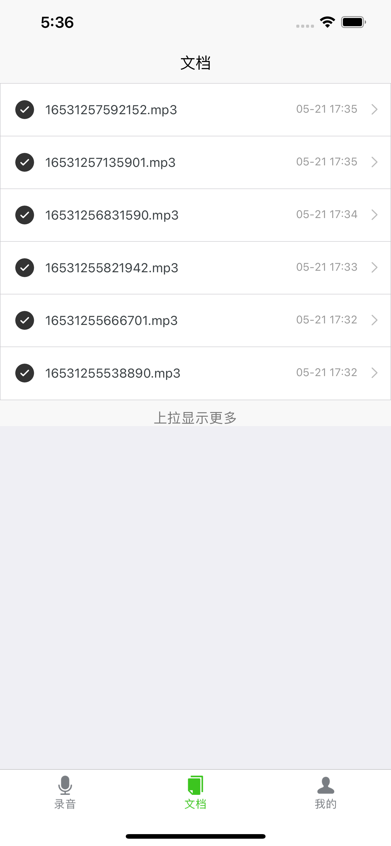 录音转换文字专家