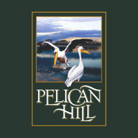 Pelican Hill Residence