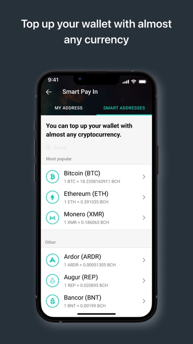 Bitcoin Cash Wallet Freewallet Screenshot