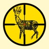 Jagdschein 2019 icon