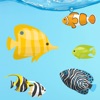 Magic Fish AR icon