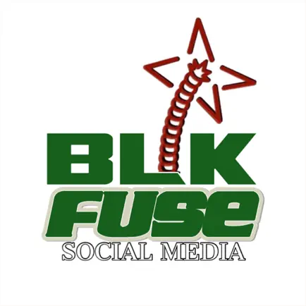 BLKFUSE Читы