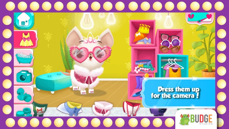 Miss Hollywood – Fashion Pets