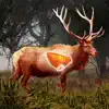 Deer Target Shooting : Pro negative reviews, comments