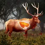 Deer Target Shooting : Pro App Cancel