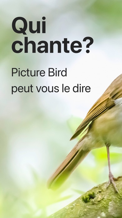 Screenshot #1 pour Picture Bird - Oiseaux ID