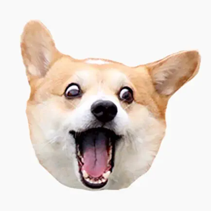 Corgi Dog's Head Cheats
