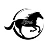 Get Pferd Rides for iOS, iPhone, iPad Aso Report