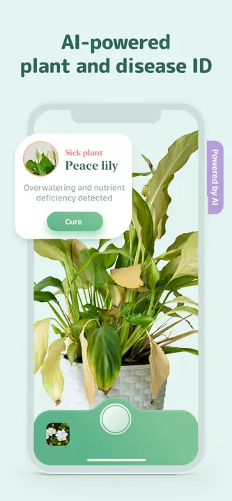 Blossom - Plant Care Guide : capture d’écran 5 sur 10