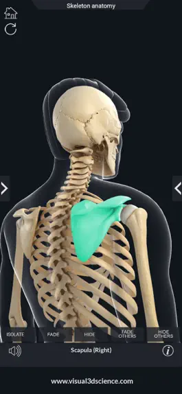 Game screenshot My Skeleton Anatomy apk