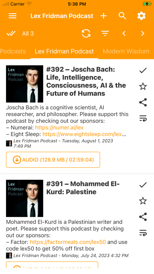 #2. RSS Reader Offline | Podcast (iOS) By: Niklas Baudy