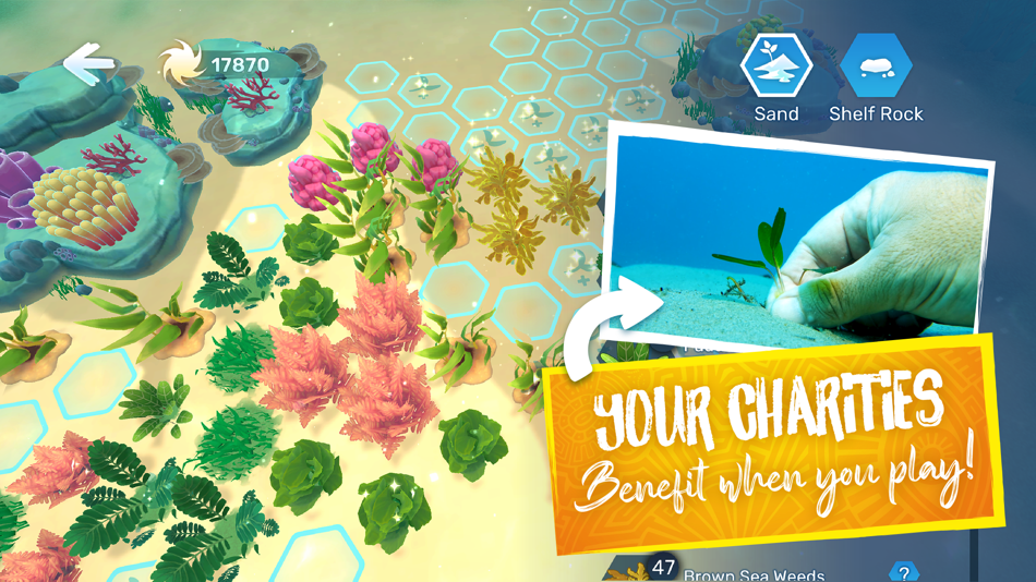 #3. KATOA: Oceans (iOS) 由: Sankari