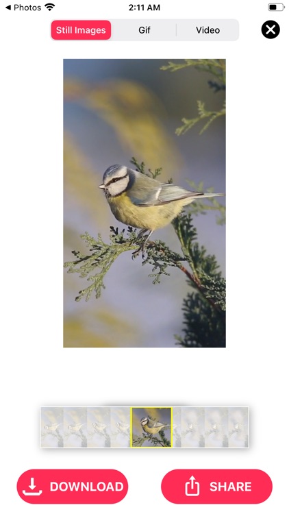 Live Photo Converter * screenshot-5