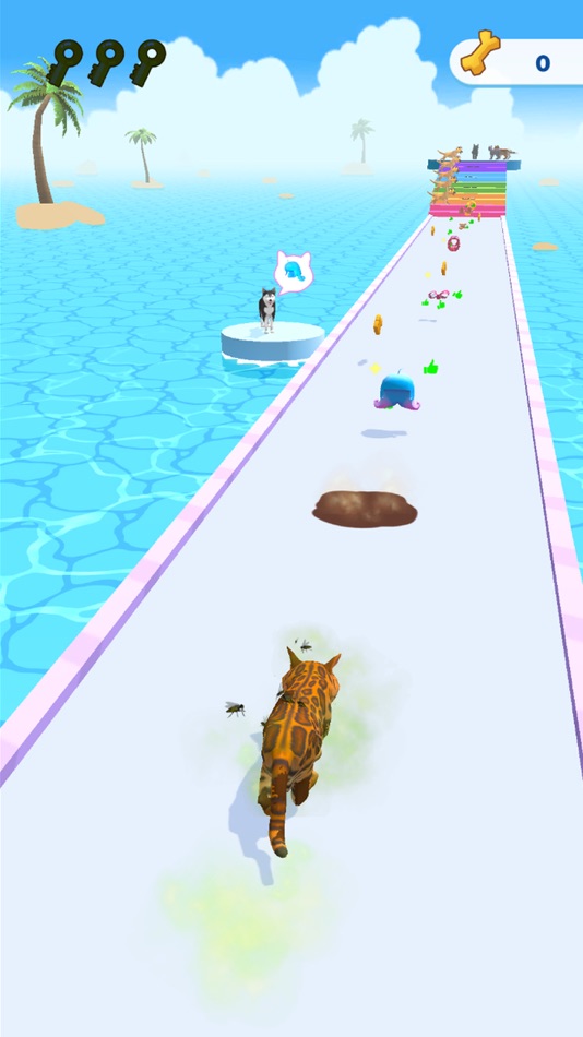 Cats run 3D - 0.0.60 - (iOS)