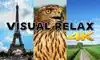 Visual Relax 4K App Positive Reviews