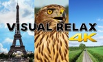 Download Visual Relax 4K app
