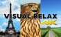 Visual Relax 4K app download