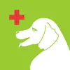 Dog Buddy Pro App Positive Reviews