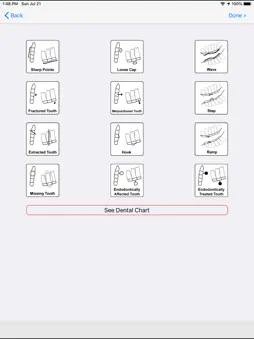 EVA: Equine Forms screenshot 13
