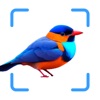 The Bird Identifier App icon