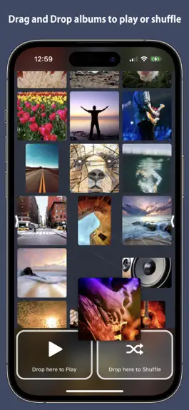 Game screenshot Platinum Album Music Player apk