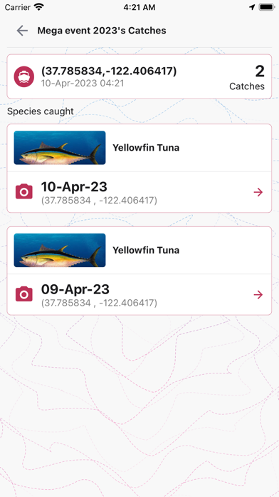 Kandufoari Screenshot