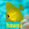 Snorkel Fish Hawaii for iPhone