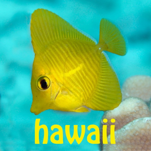 Snorkel Fish Hawaii for iPhone